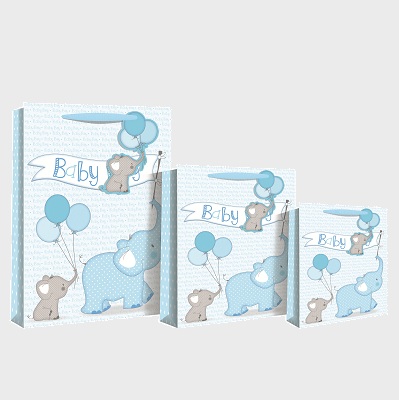 baby boy gift bag