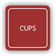 Cups